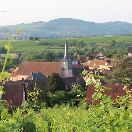 A L'Oree Des Vignes, Superbe Logement De 80 M2 Wangen Exterior photo